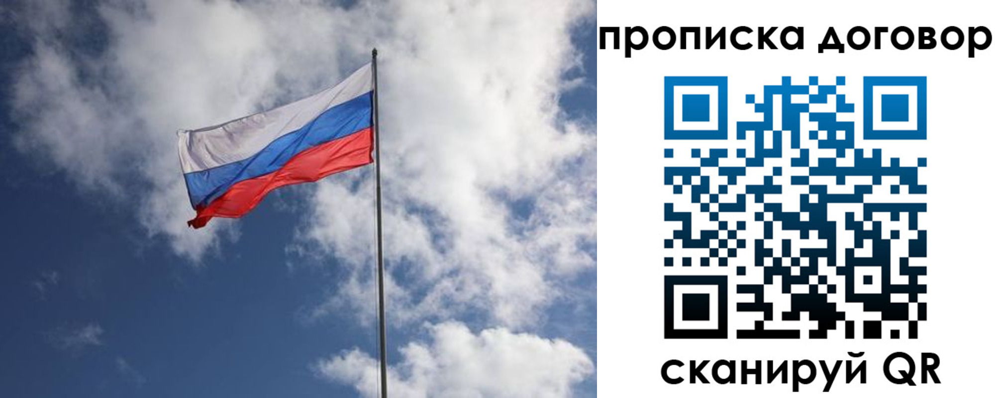 прописка поиск в Новодвинске